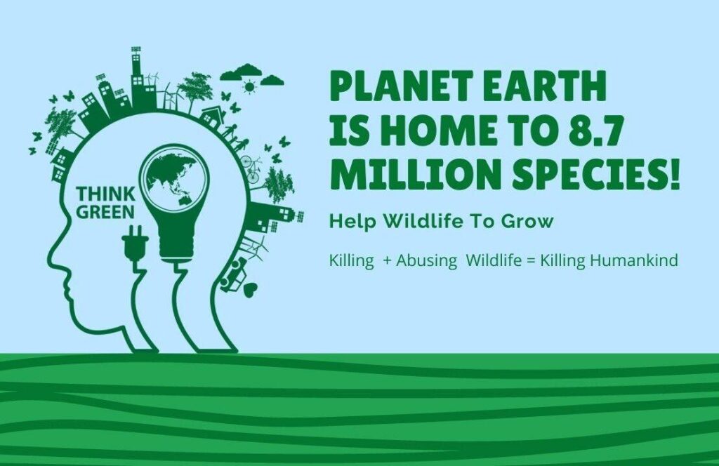 Blue-and-Green Globe Wildlife Thumbnail