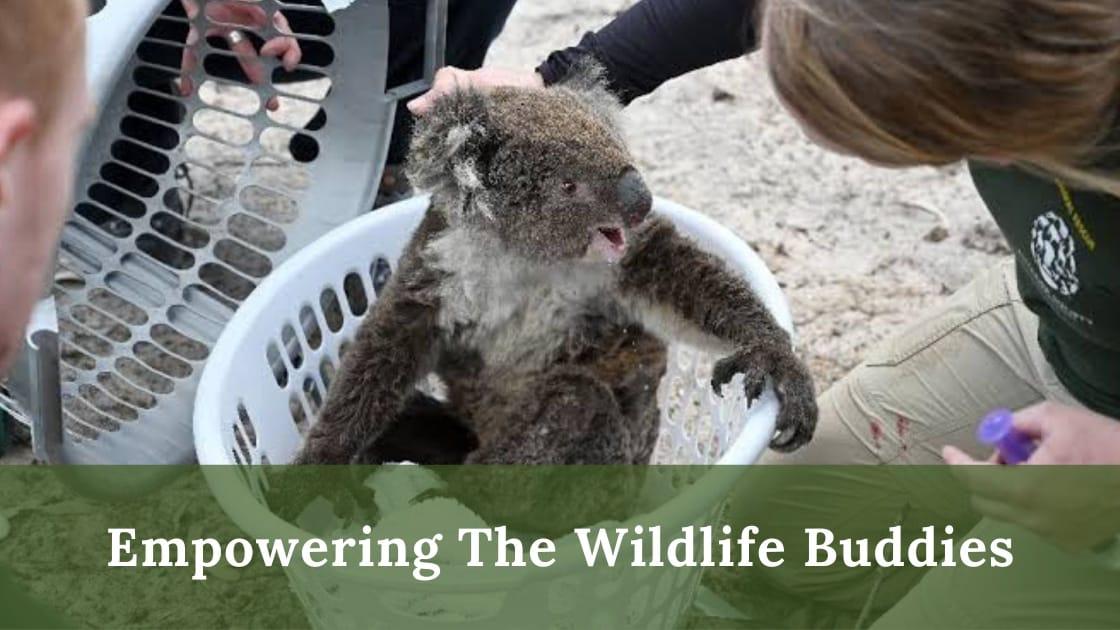 Empower wildlife