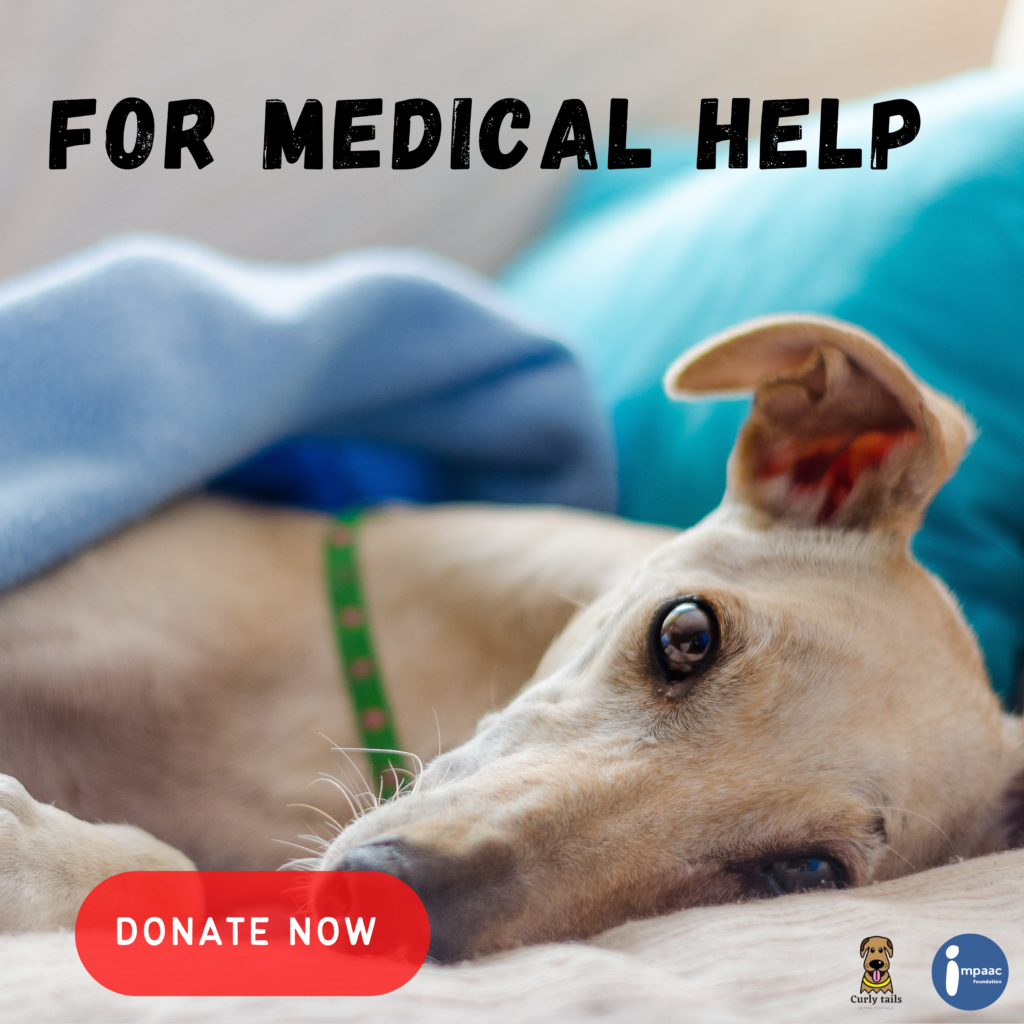 CT medical help with donate button