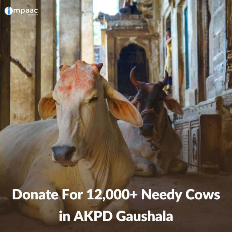 gaushala cow donate save pets