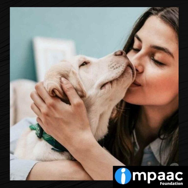 pet parent care compassion Impaac