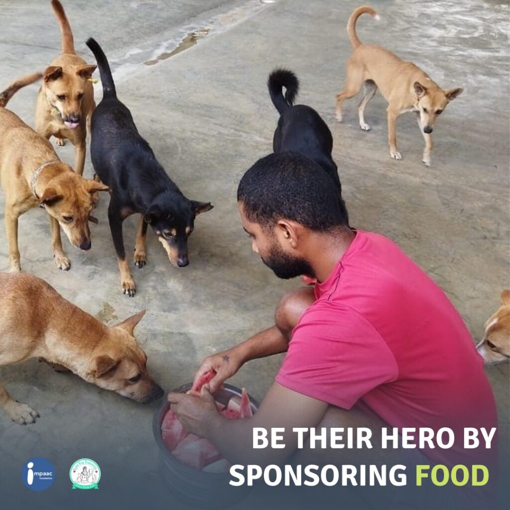 donate for poor dogs