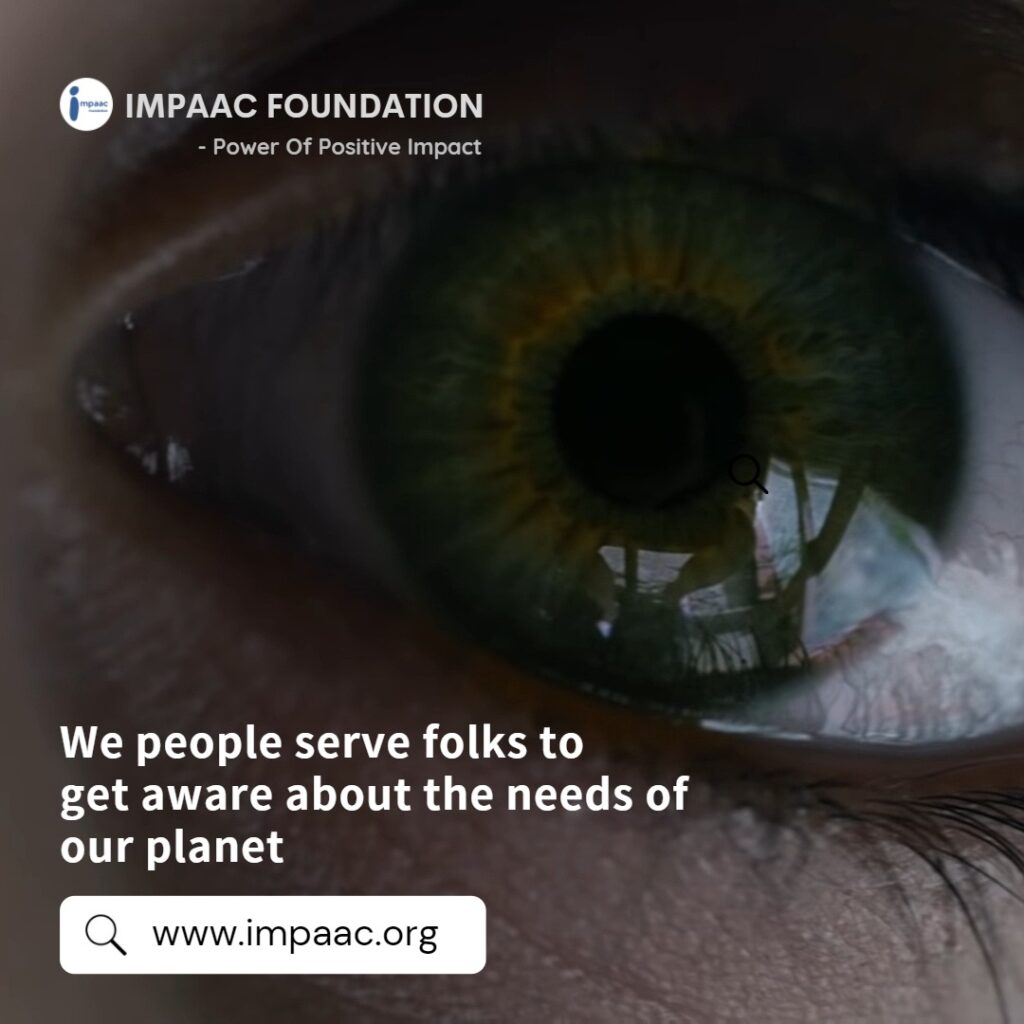 NGO crowdfunding social platform Impaac Foundation help support donate