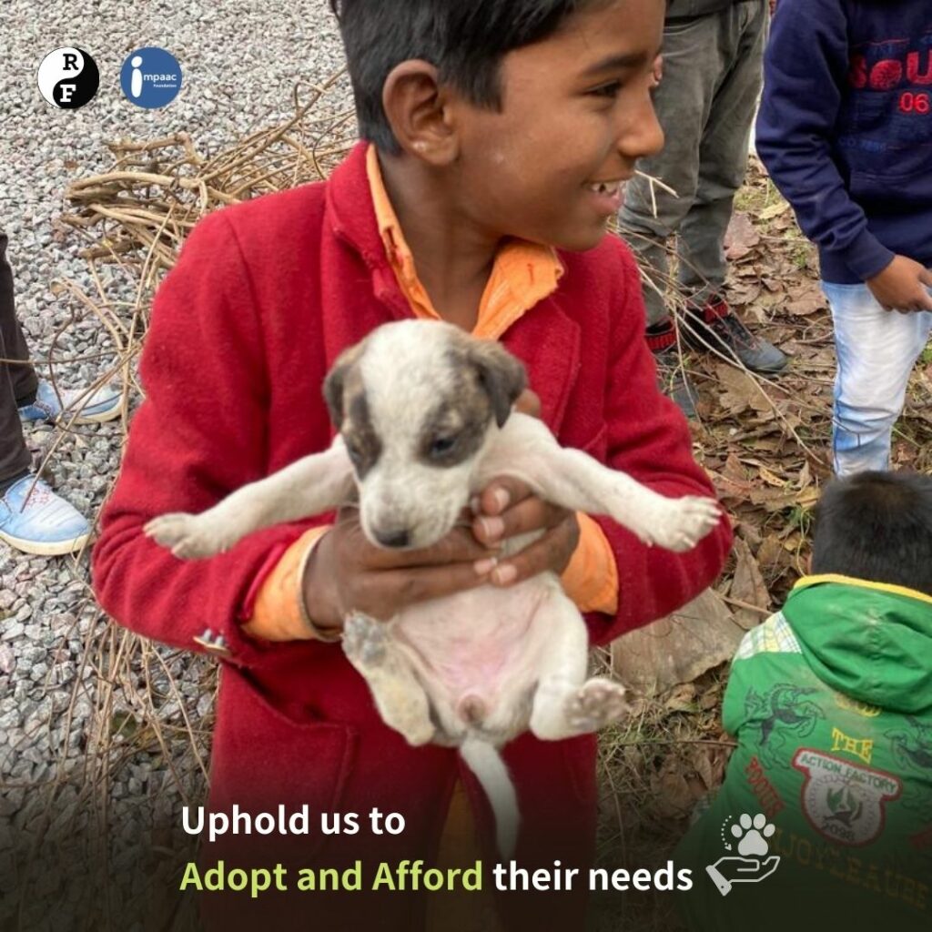 #impaacfoundation #nature #aesthetic #cats #dogs #save #pin #animals #beautiful #dark #fashion #yoga #environment #sustainableliving #gogreen #colors #themes #wallpapers #travel #campaign #people #cow #gaushala #donate #protect