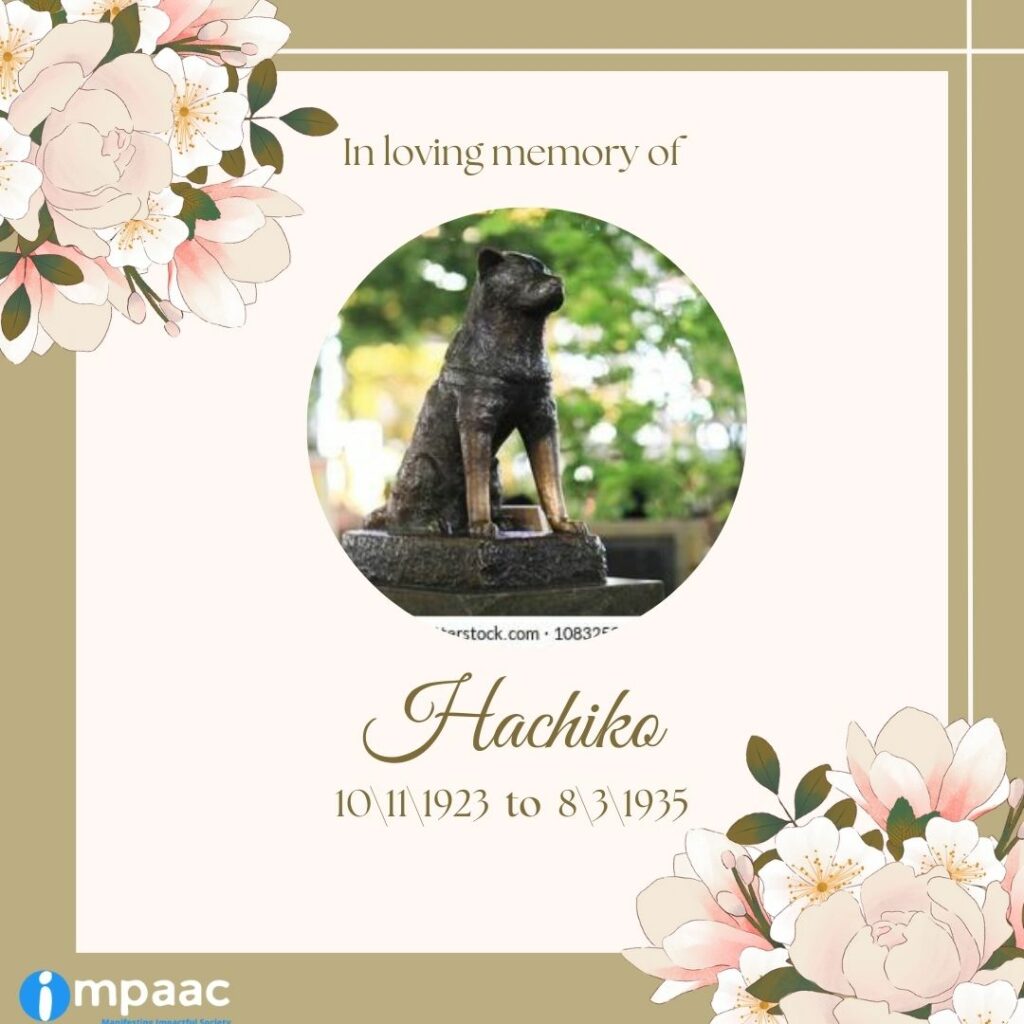 NGO crowdfunding social platform Impaac Foundation help support donate Hachiko loyal Shibuya Station