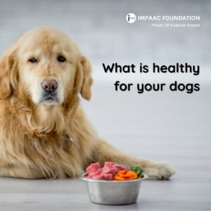 Impaac save donate save dogs superfoods