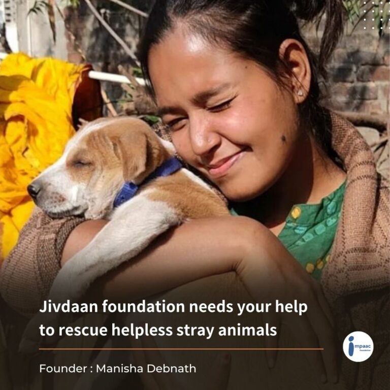 donate for the needy strays