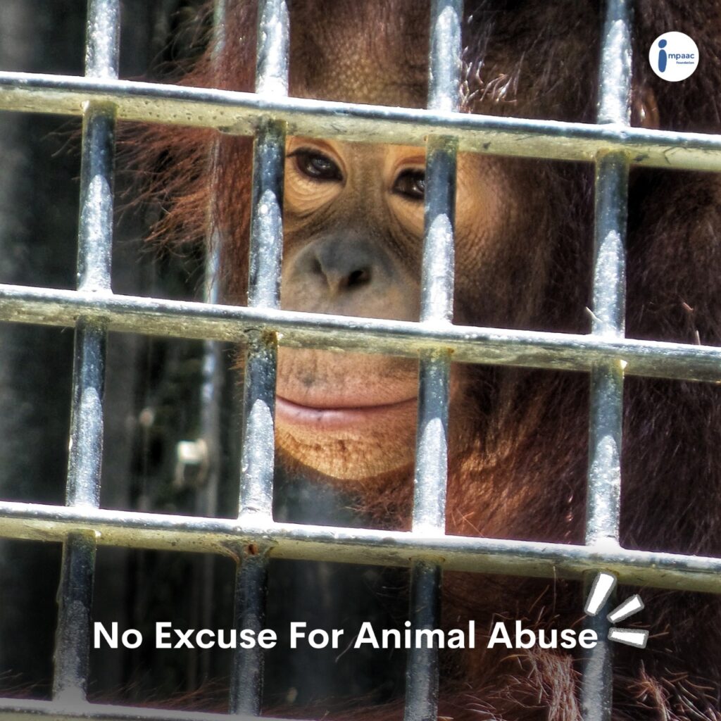 zoo animal cruelty save compassion