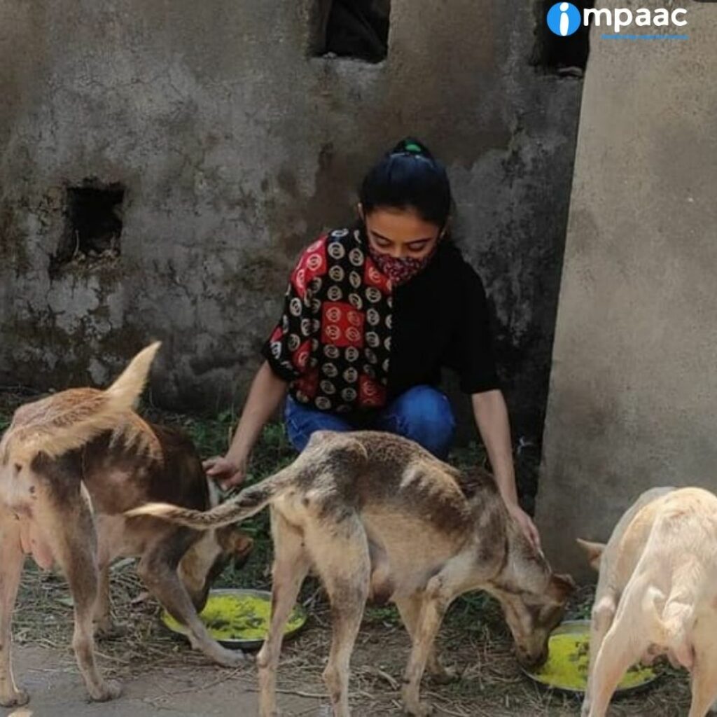 NGO crowdfunding social platform Impaac Foundation help support donate charity Jigna Hiten Doglover Animal