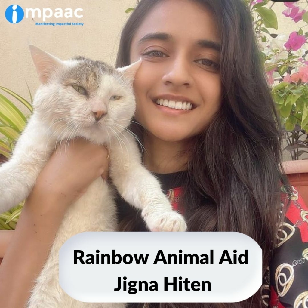 NGO crowdfunding social platform Impaac Foundation help support donate charity Jigna Hiten animals Rainbow Animal Aid