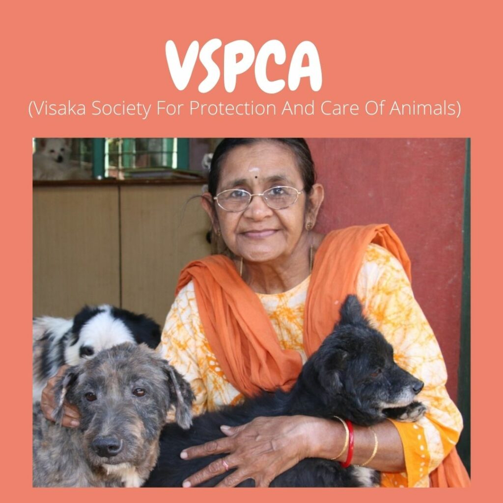 NGO crowdfunding social platform Impaac Foundation help support donate Visakha Society For Protection And Care Of Animals