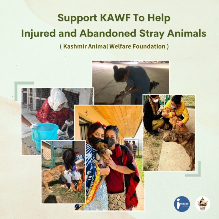 impaac charity