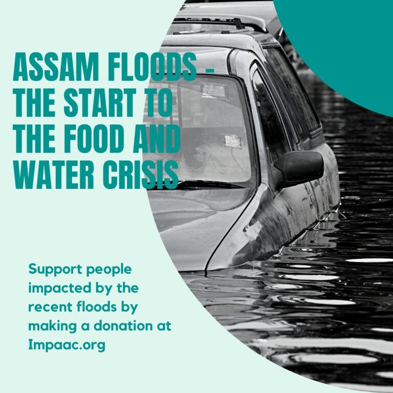 Crowdfunding-Benefits-Impaac-Foundation-non-profit-platform-AssamFloods