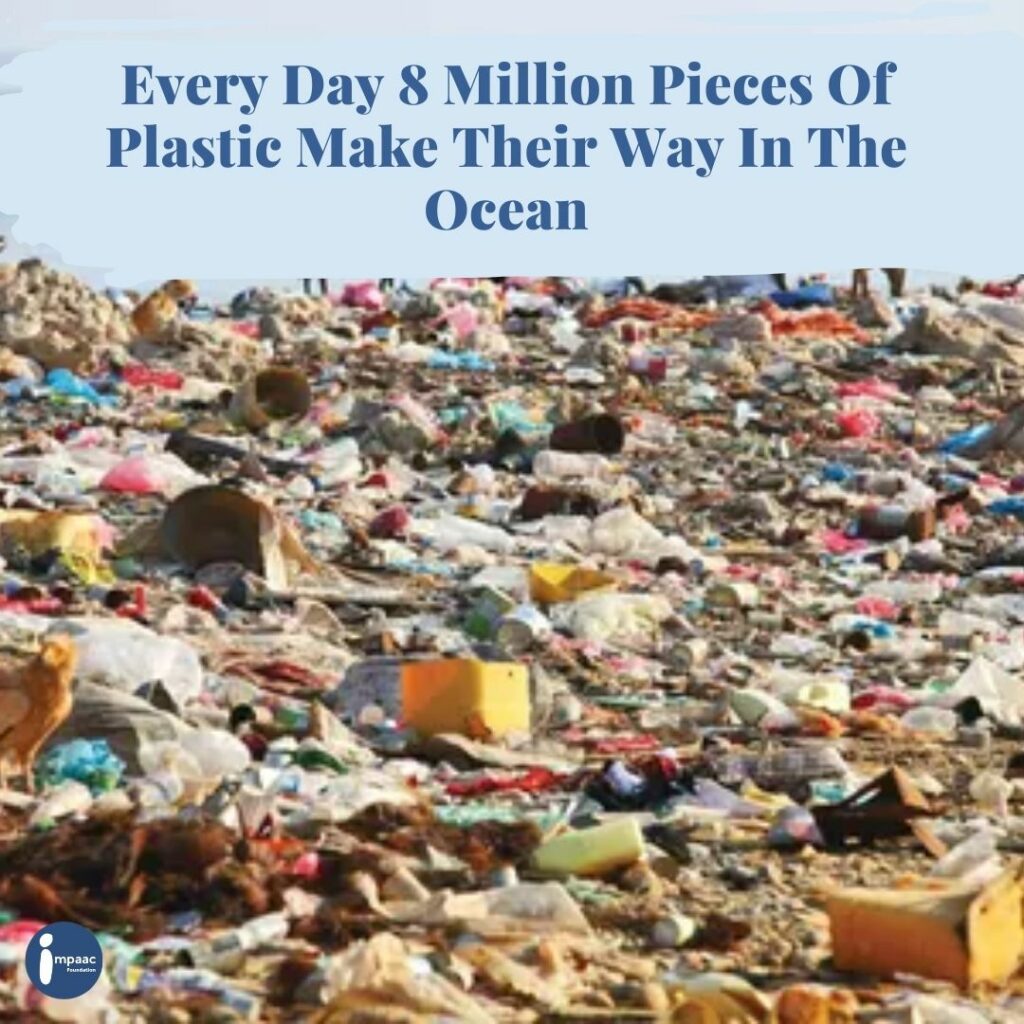 Crowdfunding-Benefits-Impaac-Foundation-non-profit-platform-ocean-Pollution-Plastic-Ban