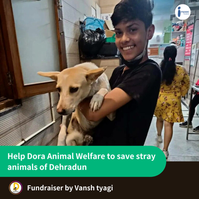 Support Dora Animal Welfare To Save Stray Animals Of Dehradun → Impaac Foundation Support Dora Animal Welfare To Save Stray Animals Of Dehradun → Impaac Foundation