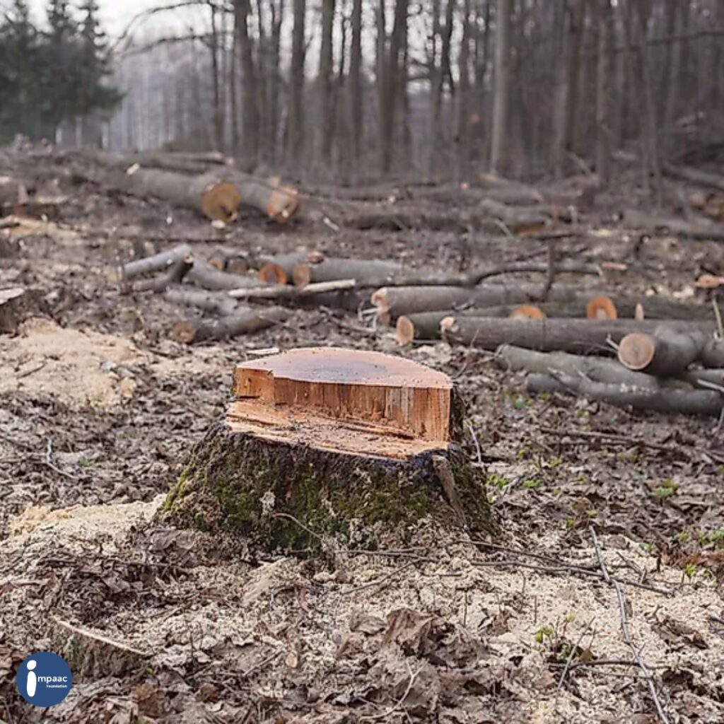 Crowdfunding-Benefits-Impaac-Foundation-non-profit-platform-Environmental-Degradation-school-essay-environmentalists-protect-save-pollution-conserve