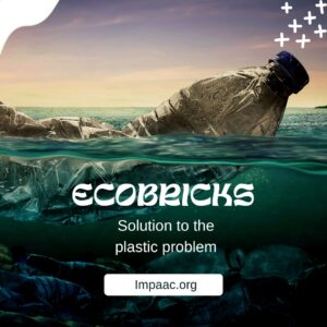 Crowdfunding-Benefits-Impaac-Foundation-non-profit-platform-plastic-pollution-ecobricks