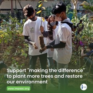 crowdfunding-Benefits-Impaac-Foundation-non-profit-platform-Environment