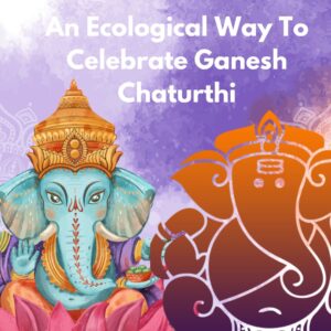 Crowdfunding-Benefits-Impaac-Foundation-non-profit-platform-sustainable-afforestation-deforestation-GaneshChaturthi-Ecological-MudGanpati-pollution-noisepollution-airpollution-waterpollution-help-save-donate-Shaadu