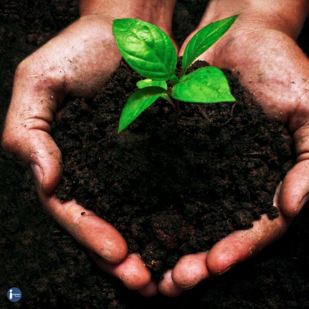 Crowdfunding-Benefits-Impaac-Foundation-non-profit-platform-sustainable-afforestation-deforestation-sustainable-planet-sustain-save-protect-donate-digitalsustainibility-Technology