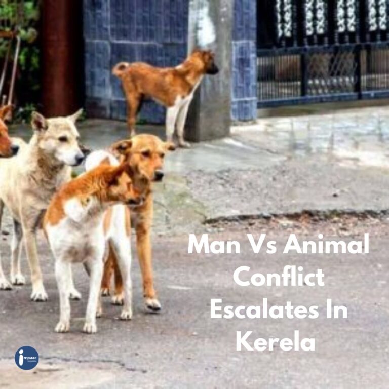Crowdfunding-Benefits-Impaac-Foundation-non-profit-platform-sustainable-afforestation-deforestation-sustainable-planet-sustain-save-protect-donate-dog-Kerala-StrayAnimals-KeralaGovernment-Culling-Keralite