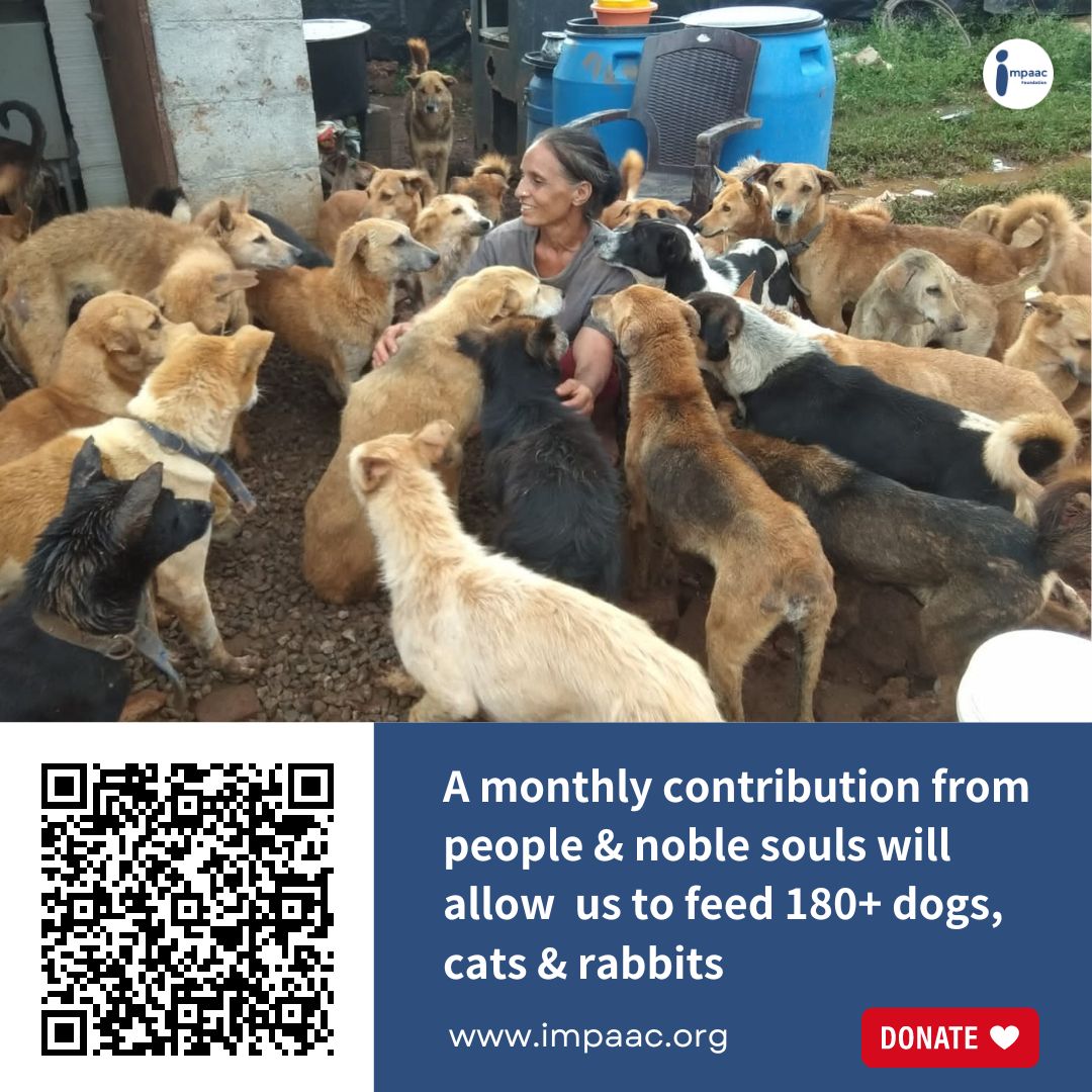 #impaacfoundation #impaacideafoundation #crowdfunding #bestcrowdfundingplatform #giveindia #ketto #milaap #fundraisingwebsites #nonprofit #impaachelp #charity #raisefunds #donatemoney #instagram #fundraiser #fundraisingplatform #ngo #bestngoinindia #medicalhelp #donatenow #helpnow #governmentngo #crowdfundingindia #onlinecharity #onlinedonation