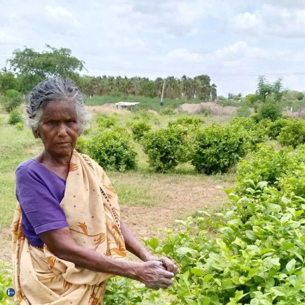 Crowdfunding-Benefits-Impaac-Foundation-non-profit-TamilNadu-Madurai-HelpageIndia-ElysiumFoundation-MaduraiHealthandLeprosyReliefCentre-MaduraiMultiPurposeSocialServiceSociety-DhanFoundation-EktaFoundation-CovenantCentreForDevelopment-Vidiyal-MaduraiSeedOrganisation-MotherFoundation