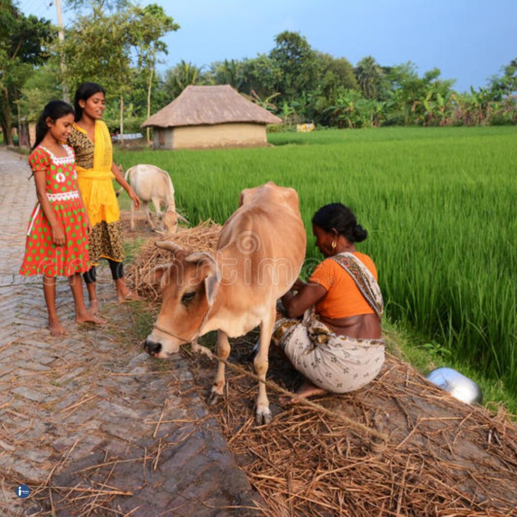 Crowdfunding-Benefits-Impaac-Foundation-non-profit-TamilNadu-Vellore-SreeOrganisation-IndianRedCrossSociety-MathaEducationalTrust-Ramkrishnan Foundation-OrganisationForRuralDevelopment-SHARE-SelfHelp-DrPrakaasaamVairammalCharitableTrust-SebsProjects-AnnaiCharitableTrust-AaharamAdhyapanaFoundation