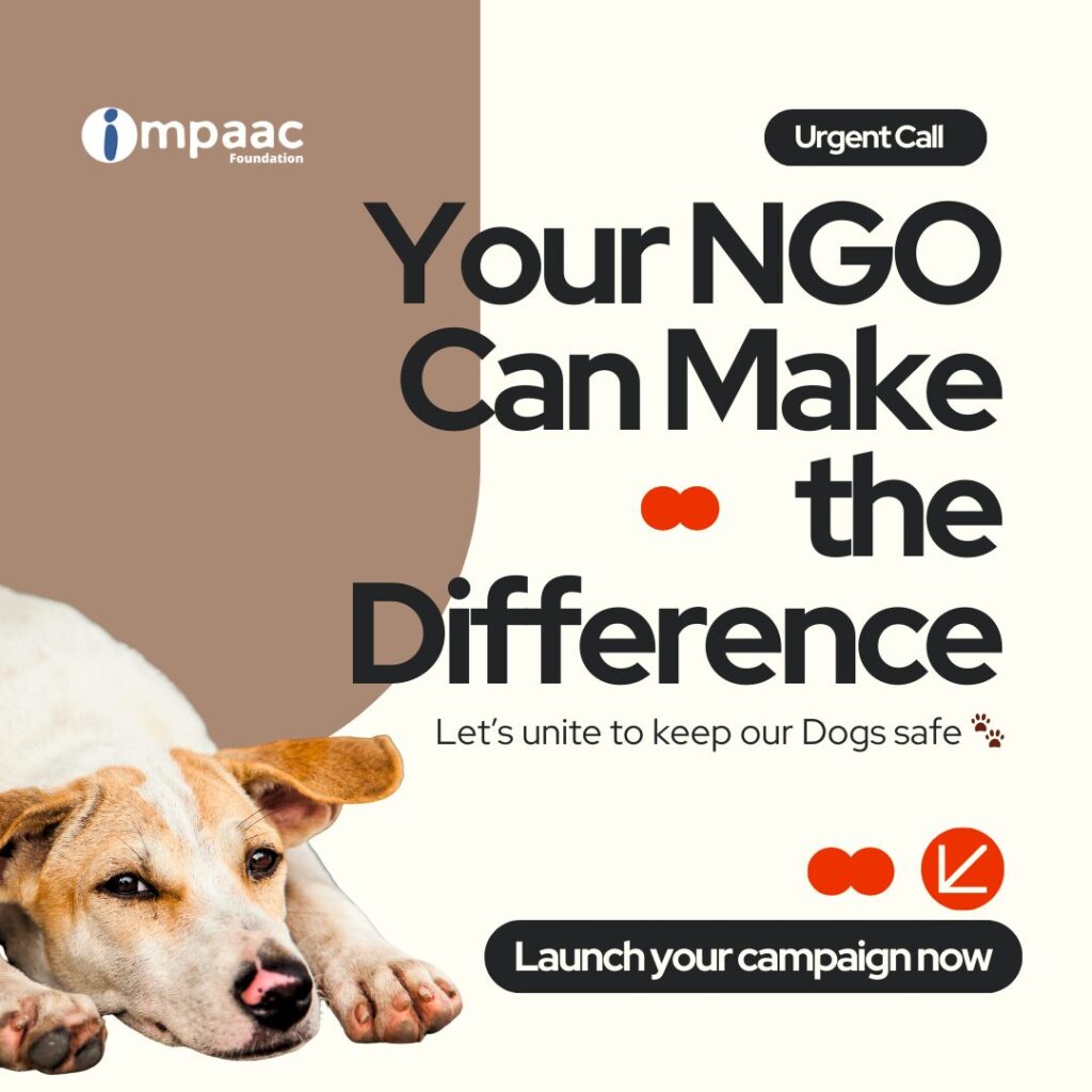 Create Your NGO Campaign – Delhi Stray Dog Relief Plan | Impaac