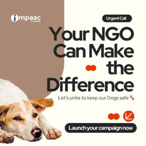 Create Your NGO Campaign – Delhi Stray Dog Relief Plan | Impaac