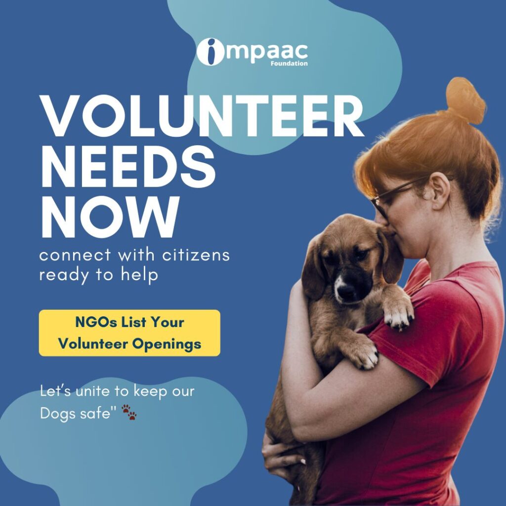 NGO Volunteer Call – Delhi Stray Dog Relief Plan | Impaac