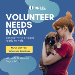 NGO Volunteer Call – Delhi Stray Dog Relief Plan | Impaac